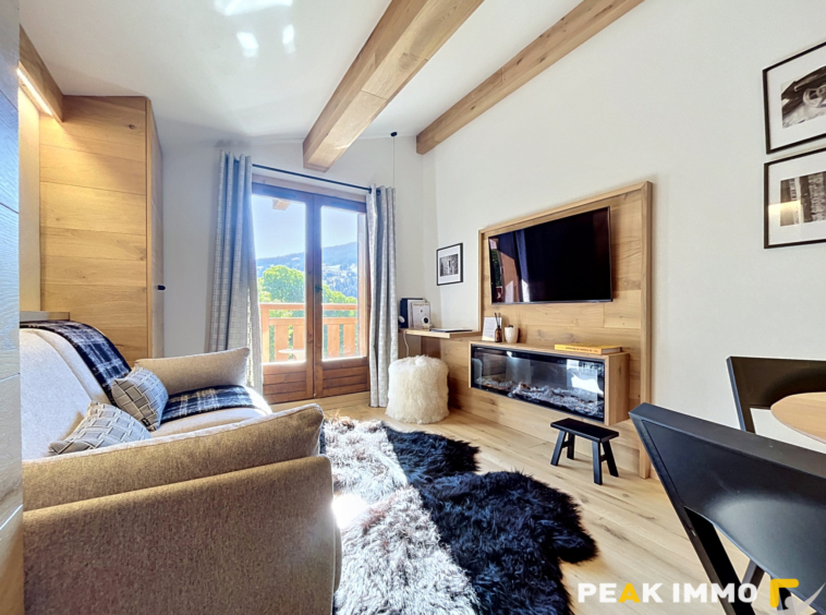 Appartement - Studio - 17 m2 - Megève
