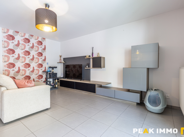 ANNECY LE VIEUX - APPARTEMENT T4 - 80M2 - CAVE - TERRASSE