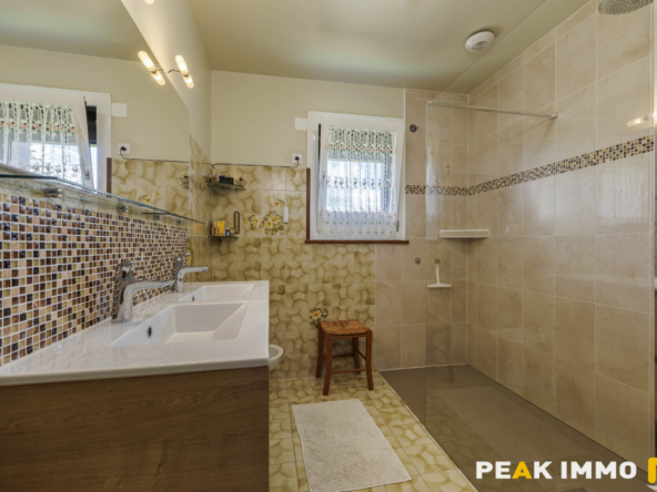 Maison - 150m2 - Terrain - 3223m2 - LA BALME DE SILLINGY