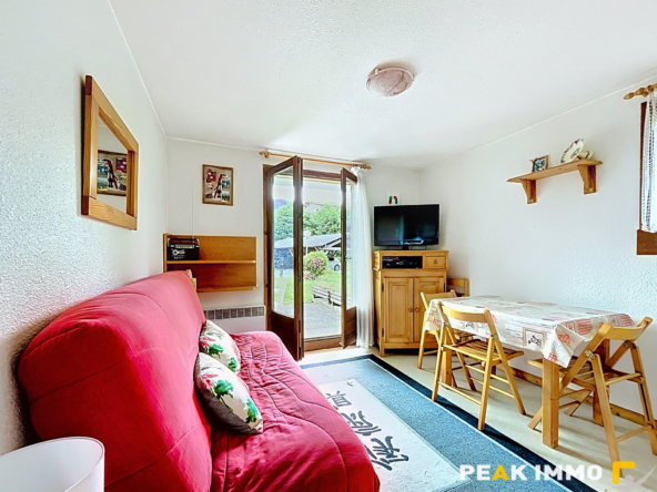 Studio cabine - 23.56 m2 - Demi Quartier - La Plate