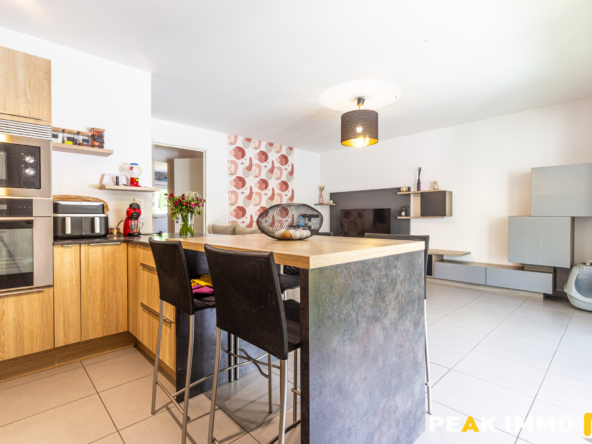ANNECY LE VIEUX - APPARTEMENT T4 - 80M2 - CAVE - TERRASSE