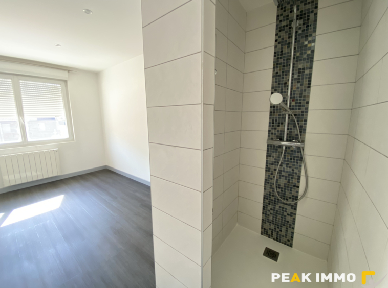 Appartement 3 pièces Meublé 71.56m2 SALLANCHES