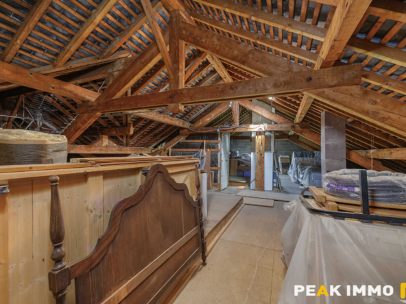 Maison - 150m2 - Terrain - 3223m2 - LA BALME DE SILLINGY