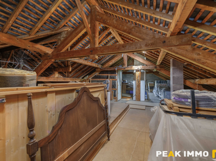 Maison - 150m2 - Terrain - 3223m2 - LA BALME DE SILLINGY