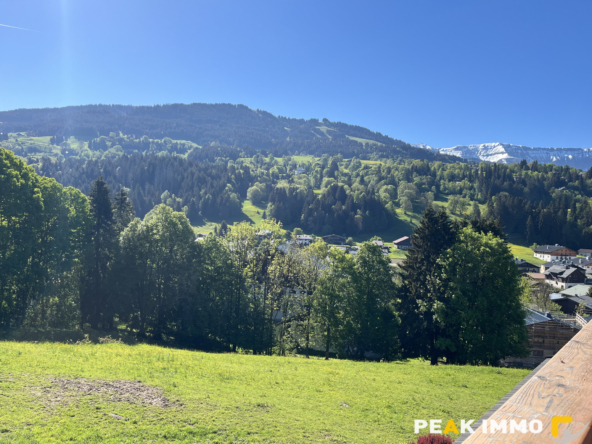 Appartement - Studio - 17 m2 - Megève