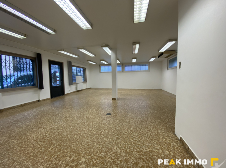 PAYS DU MONT BLANC IMMEUBLE LOCATIF