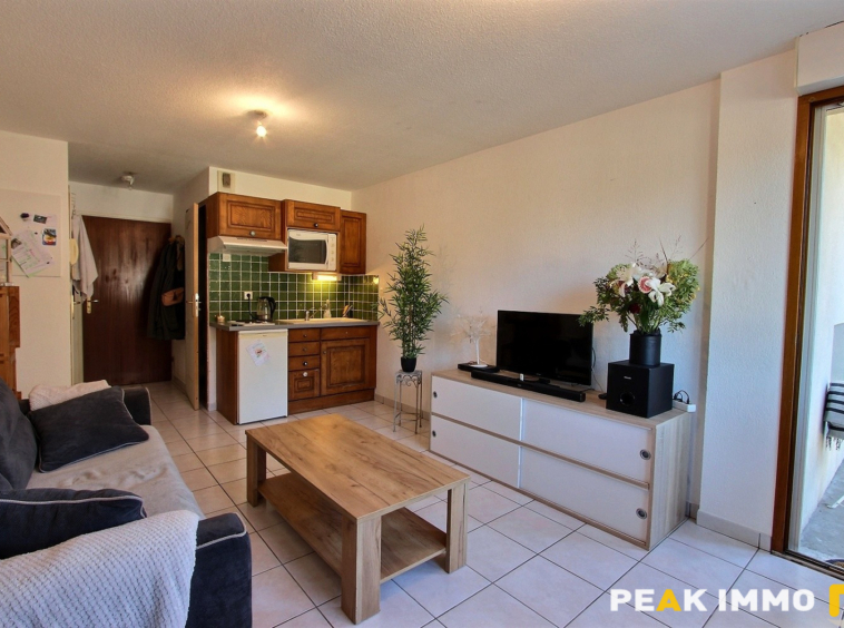 Appartement - 1 pièce - 21.69 m2  - Thones
