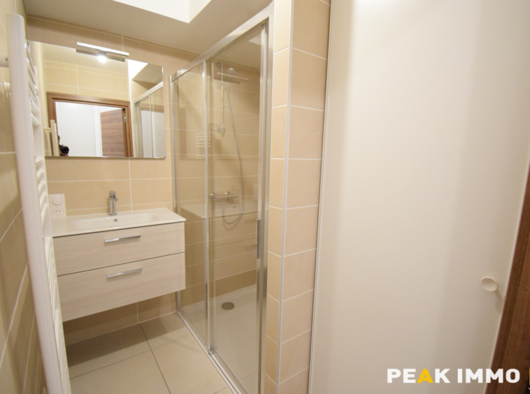 2 pièces, 41,29 m2, Rumilly