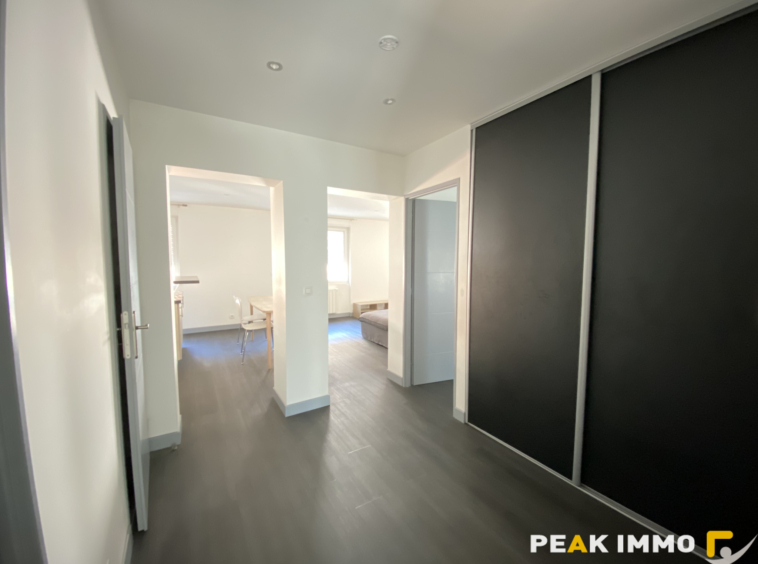 Appartement 3 pièces Meublé 71.56m2 SALLANCHES