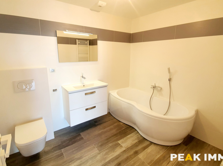 Appartement T6 - 208 m2 - 01630 SAINT-GENIS-POUILLY