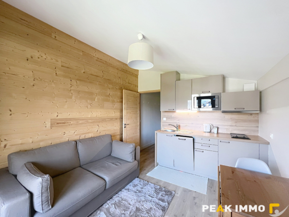 Appartement 2 pièces Demi-Quartier Secteur Ormaret
