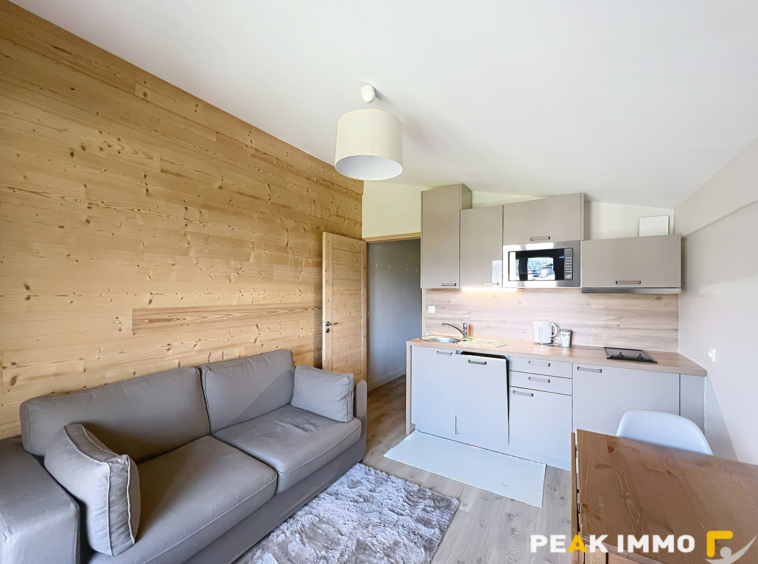 Appartement 2 pièces Demi-Quartier Secteur Ormaret