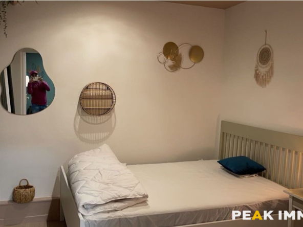 Plateau de 8 chambres en colocation - Annemasse