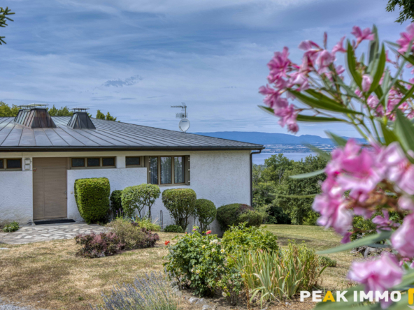 Villa d'architecte avec vue sur le lac Léman