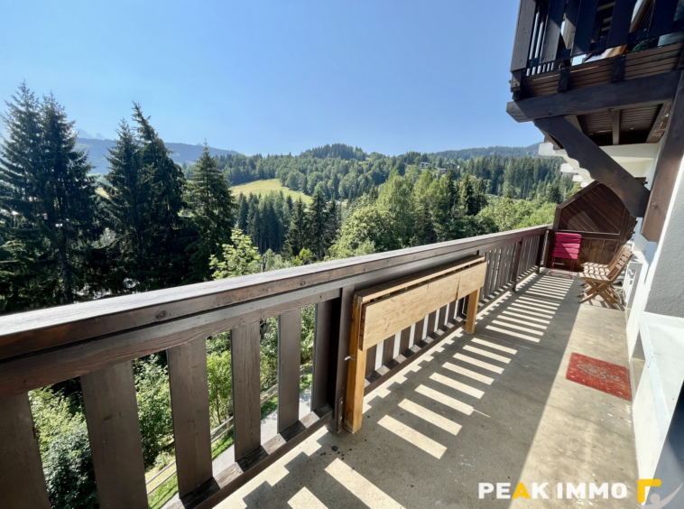 F3 + Cabines - 77 m2 - Combloux