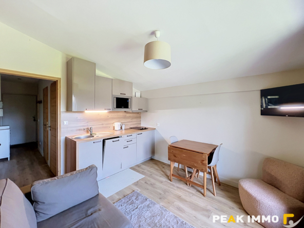 Appartement 2 pièces Demi-Quartier Secteur Ormaret