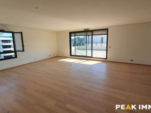 Appartement T6 - 208 m2 - 01630 SAINT-GENIS-POUILLY