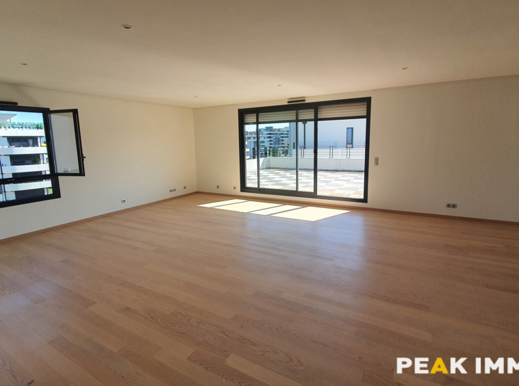 Appartement T6 - 208 m2 - 01630 SAINT-GENIS-POUILLY