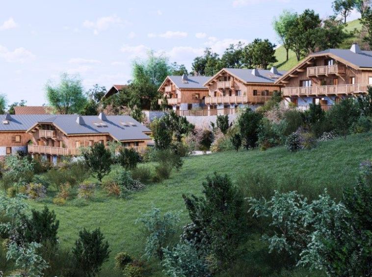 LES CHALETS DE JAYSINIA