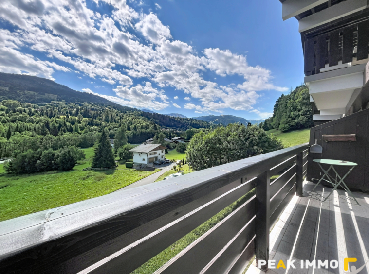 F2 Cabine Duplex - 53 m2 utiles - Demi Quartier La Princesse