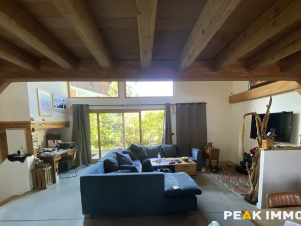 Demi -Quartier Chalet 6 pièces double garage