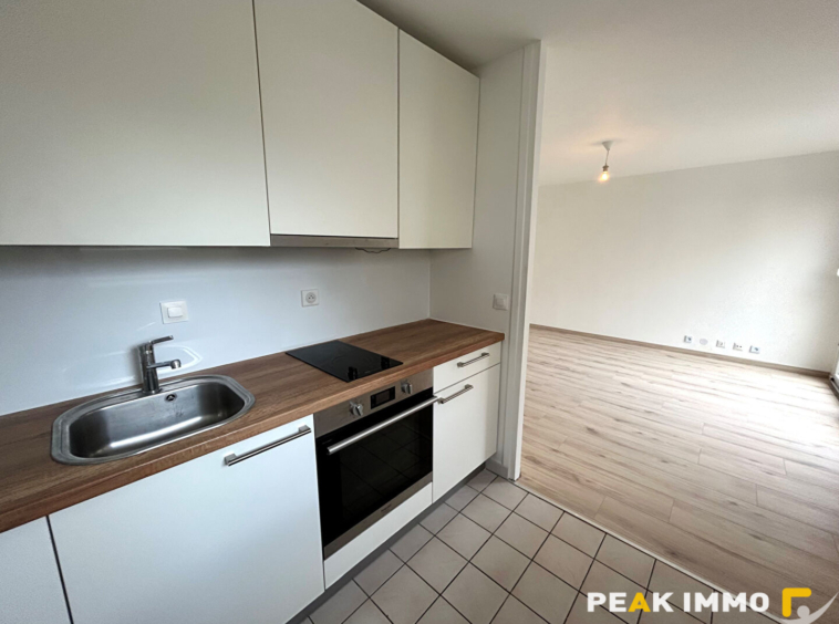 Appartement Annemasse 1 pièce(s) 30.92 m2
