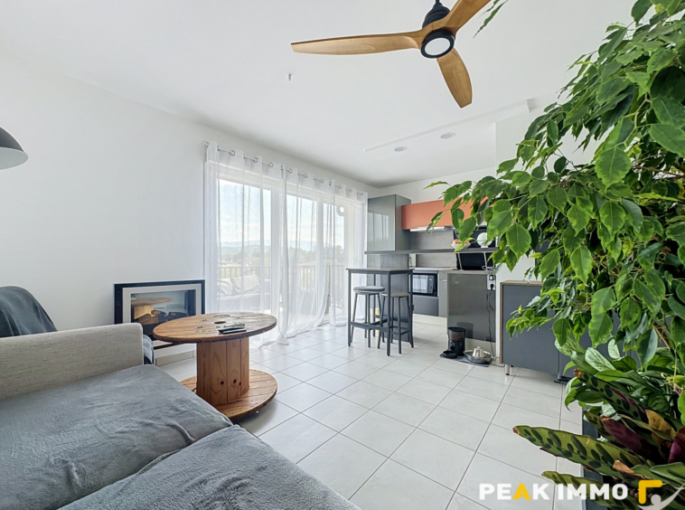Appartement 2 pièces - 46 m2 - Vallières-sur-Fier