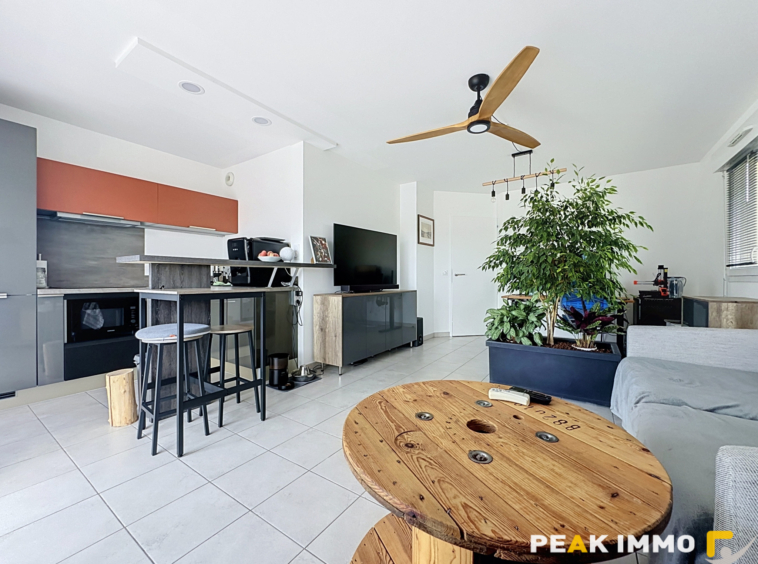 Appartement 2 pièces - 46 m2 - Vallières-sur-Fier
