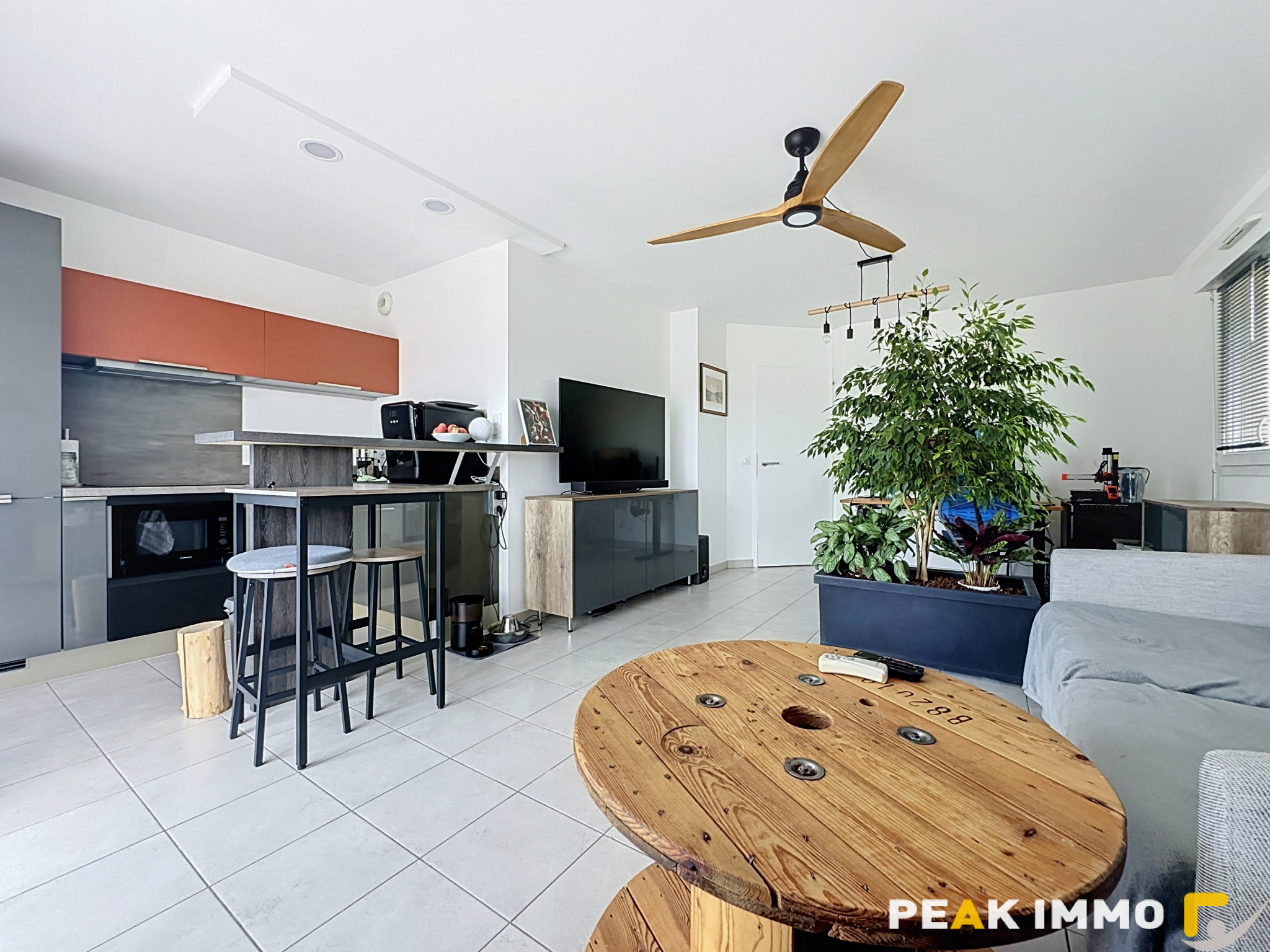 Appartement 2 pièces - 46 m2 - Vallières-sur-Fier