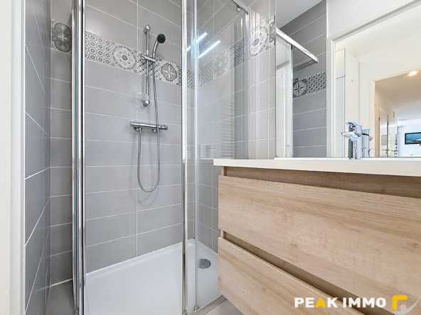 Appartement T3 de 76,48 m2 - terrasse - balcon et garage en