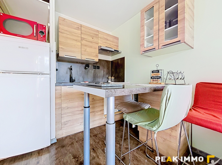 Studio avec chambre cabine - 24.10 m2 - Sallanches