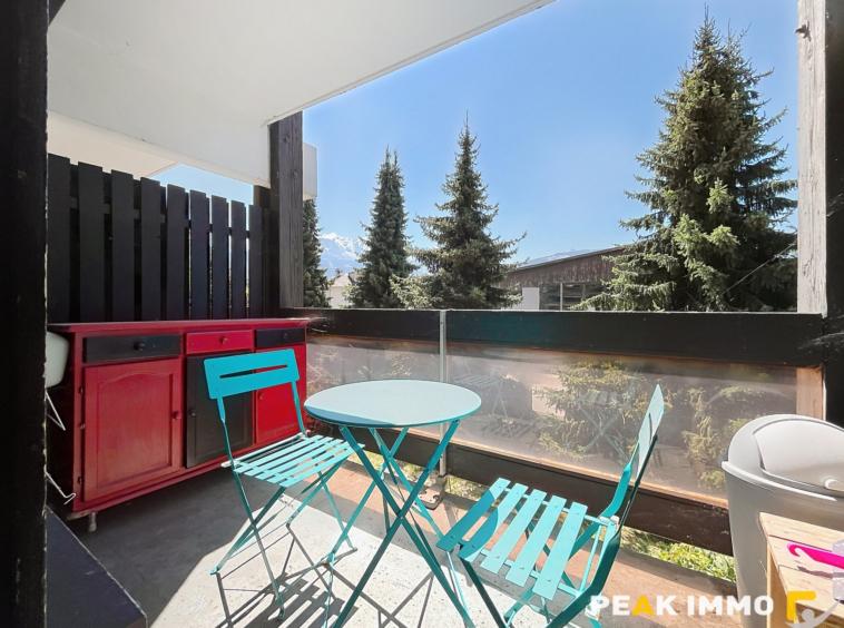 Studio avec chambre cabine - 24.10 m2 - Sallanches