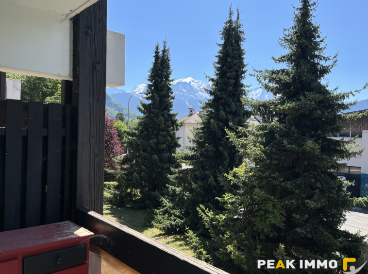 Studio avec chambre cabine - 24.10 m2 - Sallanches