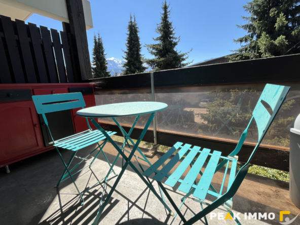 Studio avec chambre cabine - 24.10 m2 - Sallanches
