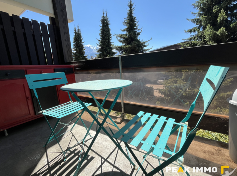 Studio avec chambre cabine - 24.10 m2 - Sallanches