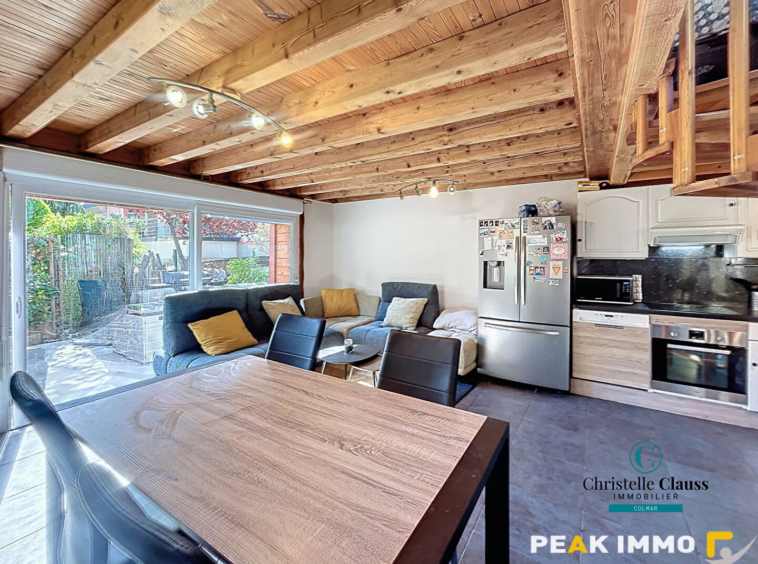 Maison Saint Jeoire 2 pièce(s) 42 m2