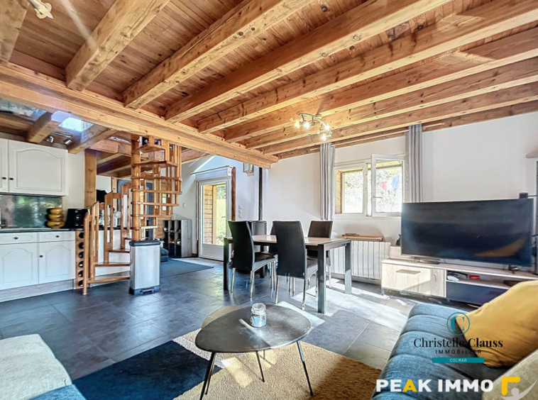 Maison Saint Jeoire 2 pièce(s) 42 m2