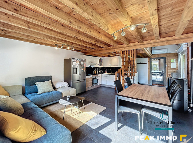 Maison Saint Jeoire 2 pièce(s) 42 m2