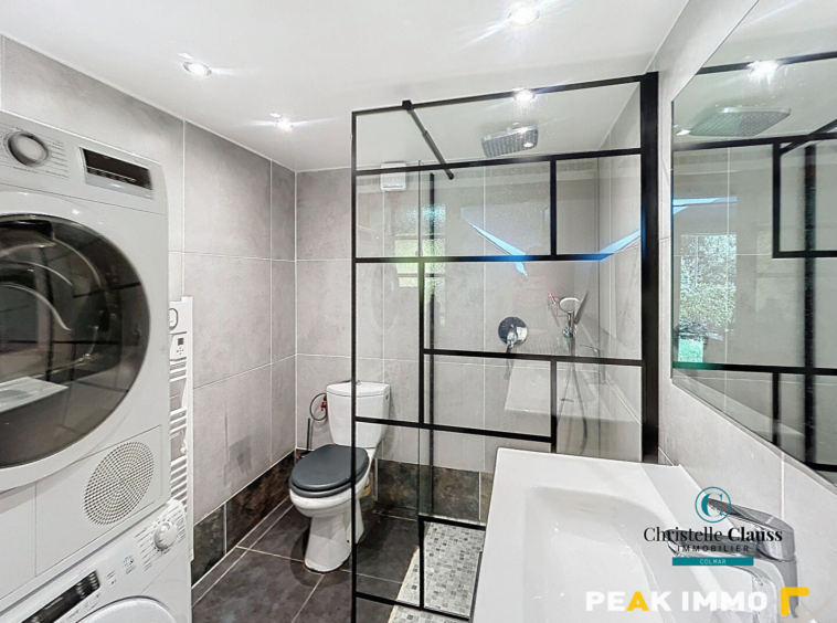 Maison Saint Jeoire 2 pièce(s) 42 m2