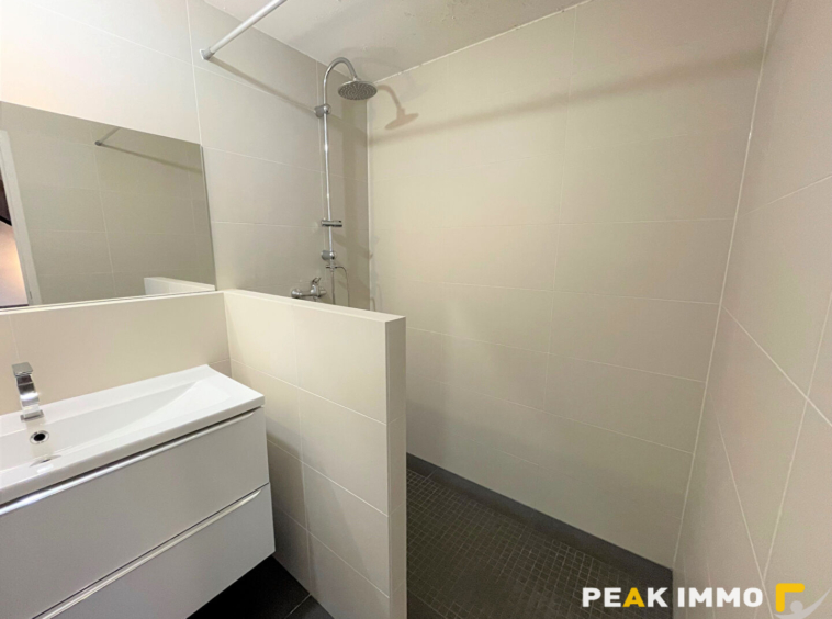 Location : appartement 4 pièces à LUCINGES