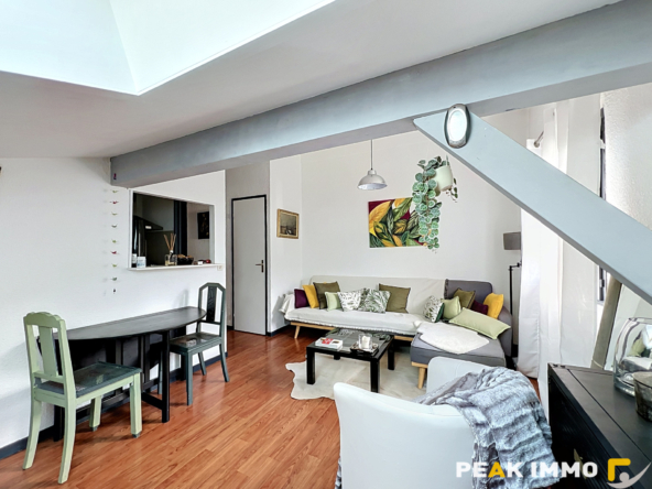 Appartement Studio coin nuit 27,35m2 utiles Sallanches