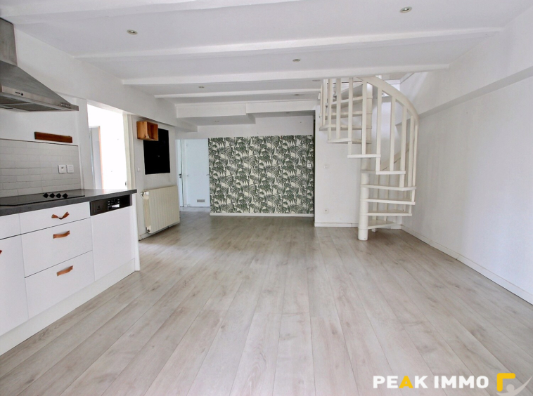 Appartement Duplex T3 - 73m2 - Annecy