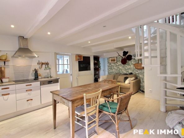Appartement Duplex T3 - 96 m2 - Annecy