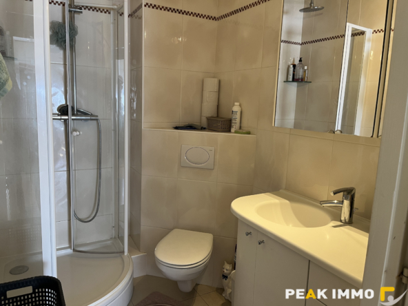 EXCLUSIVITE GAILLARD - DOUANE DE MOILLESULAZ Appartement T3
