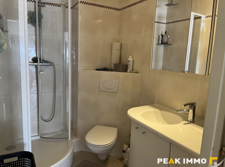 EXCLUSIVITE GAILLARD - DOUANE DE MOILLESULAZ Appartement T3