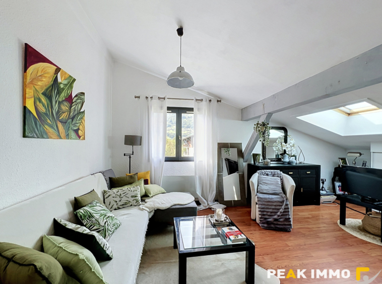 Appartement Studio coin nuit 27,35m2 utiles Sallanches