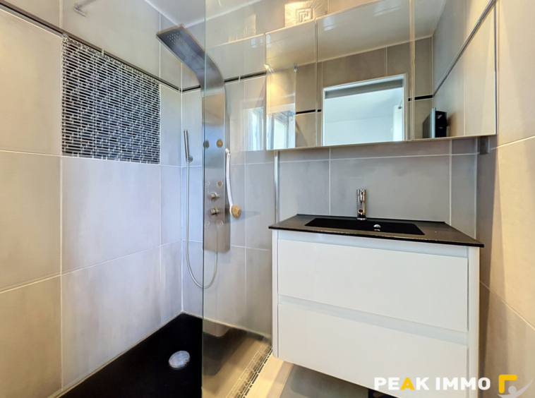 A vendre maison rénovée   Terrain de 2 841 m2 piscinable