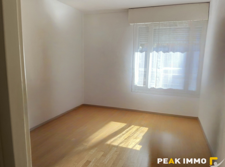 EXCLUSIVITE GAILLARD - DOUANE DE MOILLESULAZ Appartement T3