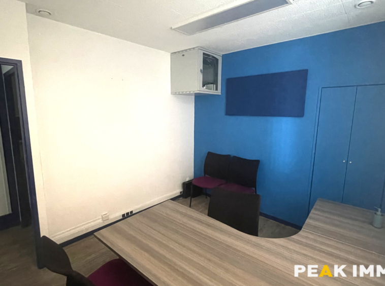 Local professionnel ou commercial - Chambery - 65.94 m2