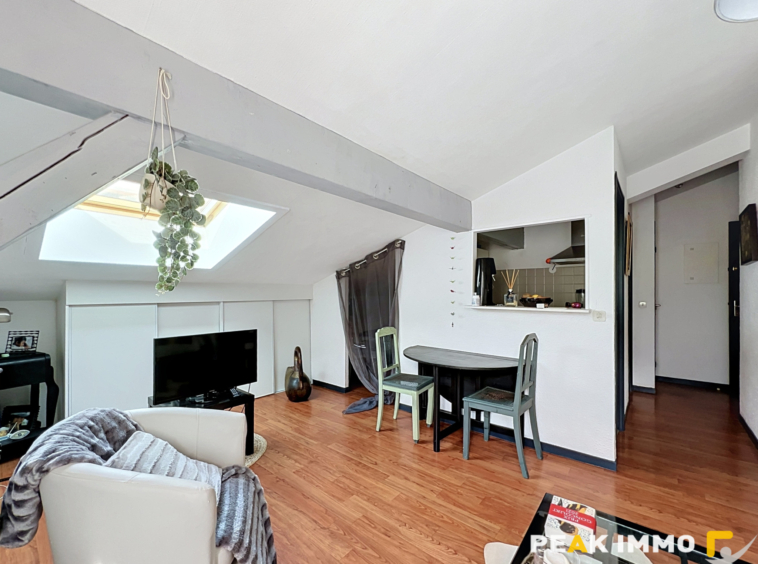 Appartement Studio coin nuit 27,35m2 utiles Sallanches